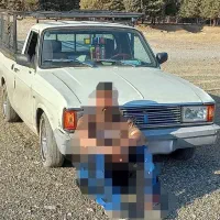 پیکان وانت ۹۳ دوگانه شرکتی