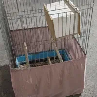 قفس پرنده سایز بزرگ|لوازم جانبی حیوانات|فردیس, شهرک ۱۱۰|دیوار