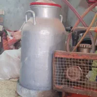 شیر دوش گاو گوساله حیوان