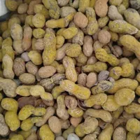 انواع بادام زمینی (روکش‌دار طعم دار)کلی و جزئی|حراج|اصفهان, آزادگان|دیوار