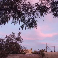 استخدام کارگر شرکت تولیدی صندل pu ( شهرک شکوهیه)