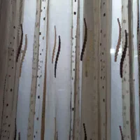 پرده آشپزخانه