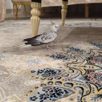 عروس هلندی ماده
