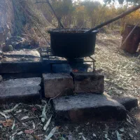 رب انار صدرصد طبیعی