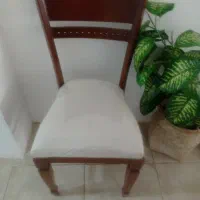 میز ناهارخوری وصندلی چوبی چوب راش