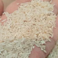 سرلاشه درشت تمیزدم سیاه