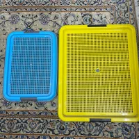 توالت سگ  ظرف جیش سگ