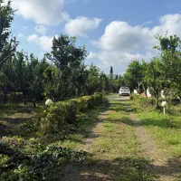 فروش باغ ویلا  زیبا در تنکابن ،سند ششدانگ،