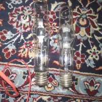 لامپ خیاری