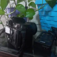 دوربین کنون|دوربین عکاسی و فیلم‌برداری|ملارد, |دیوار