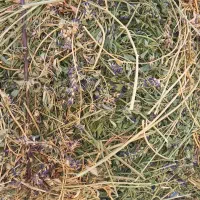 یونجه پرس خشک