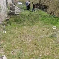 فروش زمین گردو با خانه و سوله ی گاو داری