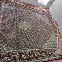 فرش|فرش|تهران, دیلمان|دیوار
