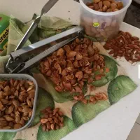 گردو شکن بادام شکن فندق شکن هسته شکن ارسال رایگان|ظروف پخت‌وپز|تهران, حکمت|دیوار