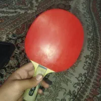 دسته پینگ پونگ فرزند شیپ ۱۲ستاره|ورزشهای توپی|میبد, |دیوار