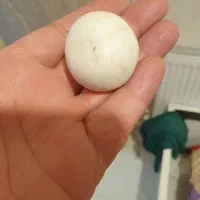 سنگ الماس آسیاب