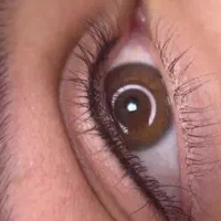 خدمات تخصصی شیدینگ لب،بن مژه|خدمات آرایشگری و زیبایی|قم, شهرک فاطمیه|دیوار