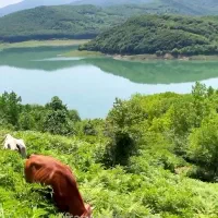 تور ۵ روزه سوادکوه تا دریاچه برنجستان