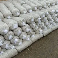 تفاله چغندر خشک و بی آب