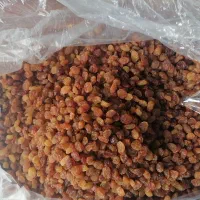 کشمش پلویی