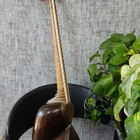 تار حرفه ای خوش صدا