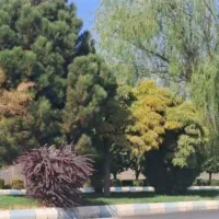 ملک اکازیون شامل سه کاربری تجاری انبار و باغ