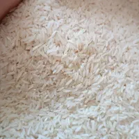 برنج هاشمی خالص