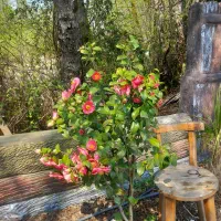 اجاره یونیت در مطب زیبایی