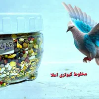 مخلوط کبوتری