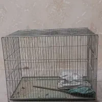 قفس