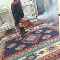 سمپاشی تضمینی ارگانیک حشرات موذی شمال