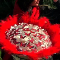 کنسول بازی دستهگل پروانه سوپرایزی رایگان