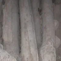 تیر چوبی خشک