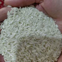 برنج علی کاظمی اعلا عطری خوش خوراک مستقیم کشاورز