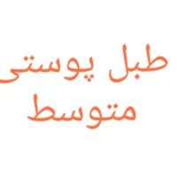 طبل پوستی متوسط