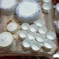 ظروف پذیرایی