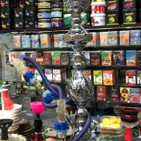 خلیل مامون