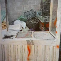 فر فلافل وهمبرگر