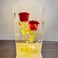 کادو گل طبیعی جاودان ۲ شاخه با ساقه طلایی