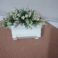 گلدون ورومیزی|حراج|شوشتر, |دیوار