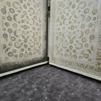 فرش نائین نخ میکروفیلامنت ترک۱۲۰۰شانه بیش از۲۰۰مدل|فرش|شیراز, فرگاز|دیوار