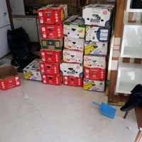 اسباب کشی منزل صابری با کامیون مسقف کارگر حرفه ای|خدمات حمل و نقل|گنبد کاووس, |دیوار