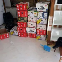 اسباب کشی منزل صابری با کامیون مسقف کارگر حرفه ای|خدمات حمل و نقل|گنبد کاووس, |دیوار