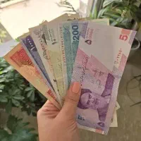 ۱ میلیون جایزه ببر