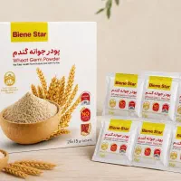 پودر جوانه گندم اورجینال