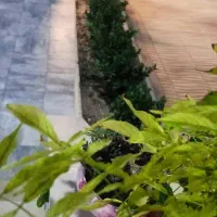 ویلاباغ-داخل-طرح-هادی-جاده-سنتو-کیلومتر-10