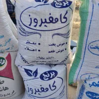 برنج درجه یک کامفیروزی