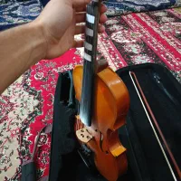 ویالون|ویولن|باوی, |دیوار