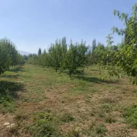 باغ-شهری