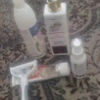 لوازم و پوشاک و اسباب بازی سگ